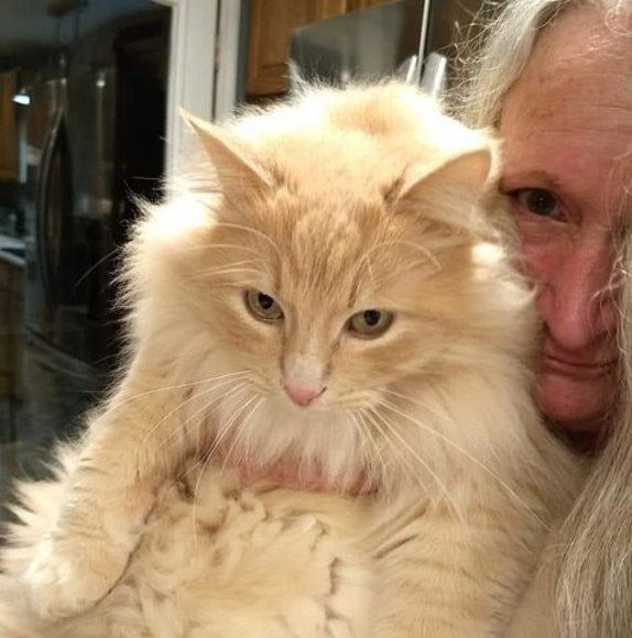 Meet your Posher, April - Picture 1 of 1